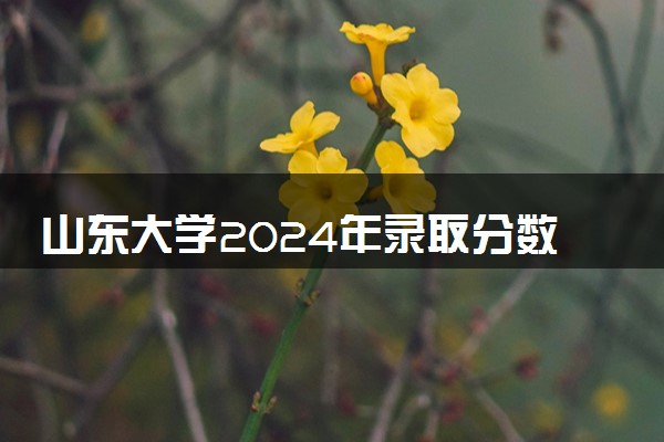 山东大学2024年录取分数线 各专业录取最低分及位次