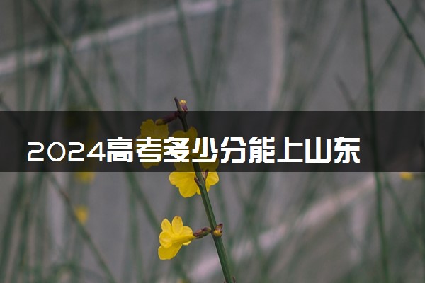 2024高考多少分能上山东商务职业学院 最低分数线和位次