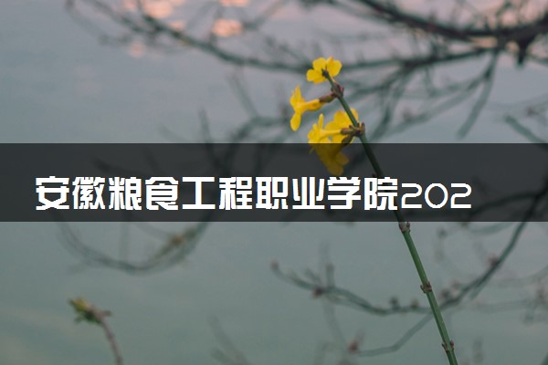 安徽粮食工程职业学院2024年录取分数线 各专业录取最低分及位次