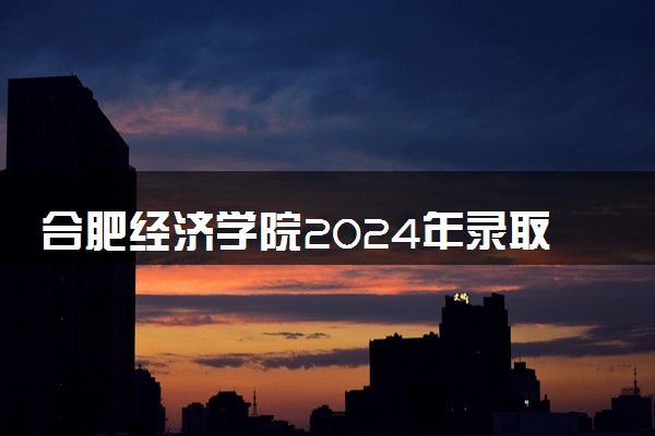 合肥经济学院2024年录取分数线 各专业录取最低分及位次