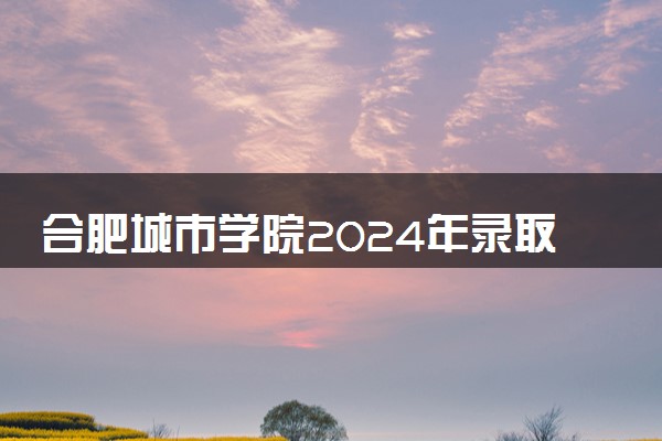 合肥城市学院2024年录取分数线 各专业录取最低分及位次