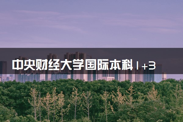 中央财经大学国际本科1+3课程包括什么