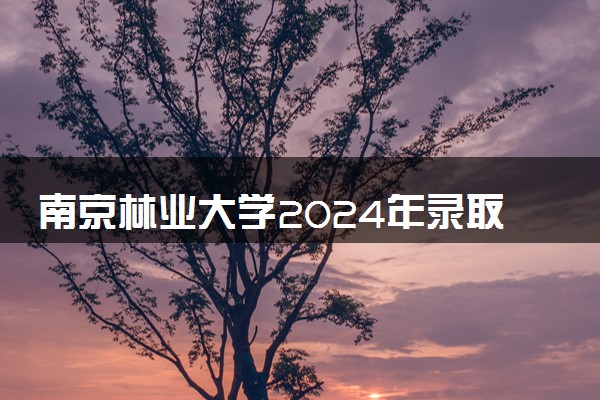 南京林业大学2024年录取分数线 各专业录取最低分及位次