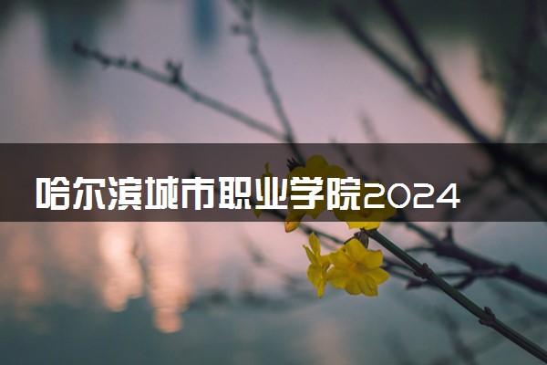 哈尔滨城市职业学院2024年录取分数线 各专业录取最低分及位次