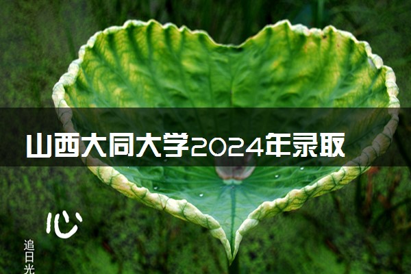 山西大同大学2024年录取分数线 各专业录取最低分及位次