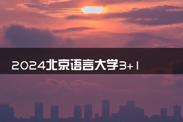 2024北京语言大学3+1国际本科容易就业吗 好找工作吗