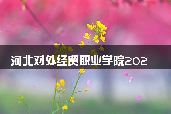 河北对外经贸职业学院2024年录取分数线 各专业录取最低分及位次