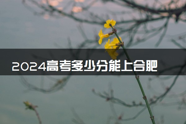 2024高考多少分能上合肥科技职业学院 最低分数线和位次