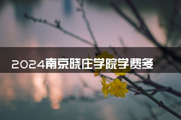 2024南京晓庄学院学费多少钱一年 各专业收费标准