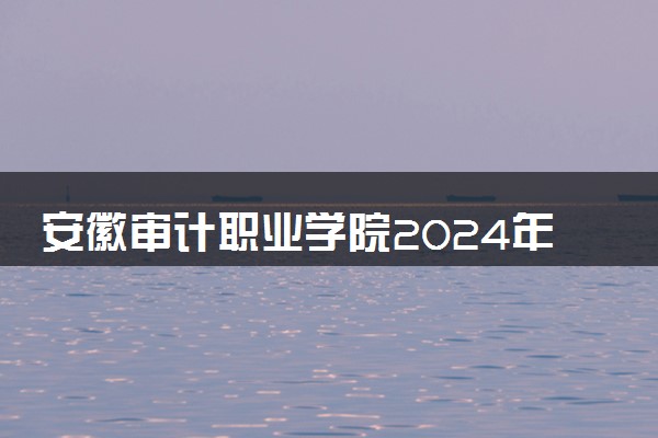 安徽审计职业学院2024年录取分数线 各专业录取最低分及位次