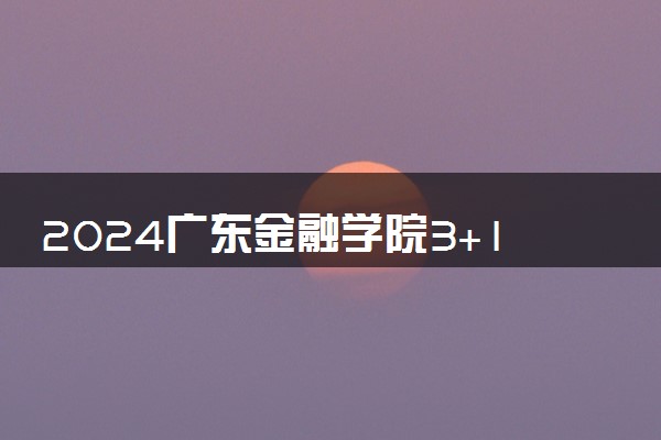 2024广东金融学院3+1国际本科招生人数是多少 有什么优势