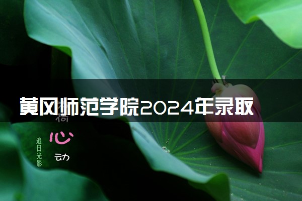 黄冈师范学院2024年录取分数线 各专业录取最低分及位次