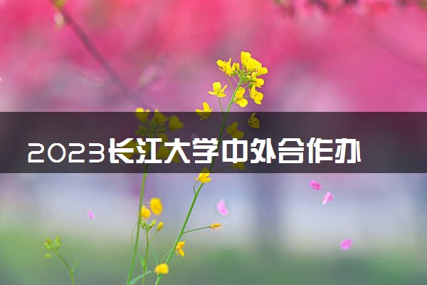 2023长江大学中外合作办学录取分数线 最低多少分能上