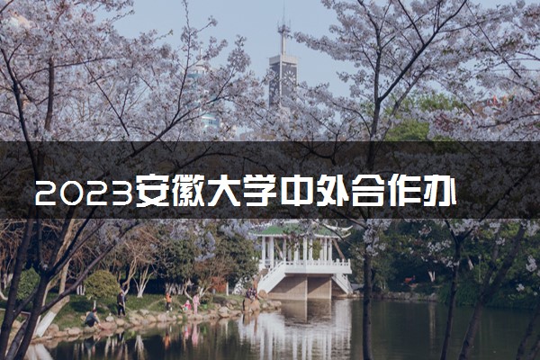 2023安徽大学中外合作办学录取分数线 最低多少分能上