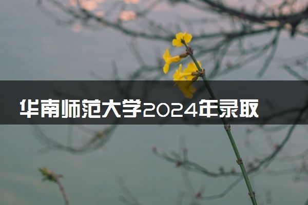 华南师范大学2024年录取分数线 各专业录取最低分及位次