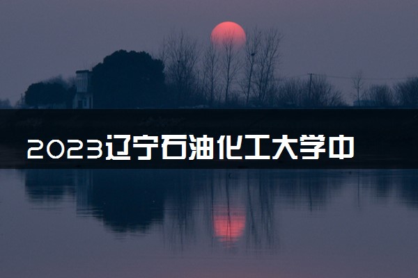 2023辽宁石油化工大学中外合作办学录取分数线 最低多少分能上