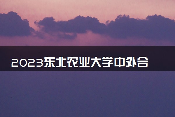 2023东北农业大学中外合作办学录取分数线 最低多少分能上