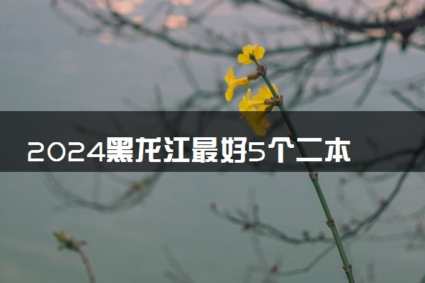 2024黑龙江最好5个二本大学 什么学校实力强