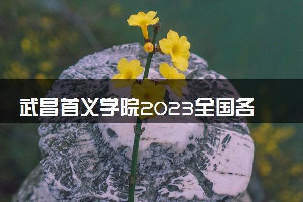 武昌首义学院2023全国各省录取分数线及最低位次 高考多少分能上