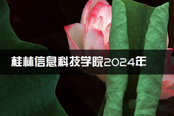 桂林信息科技学院2024年录取分数线 各专业录取最低分及位次