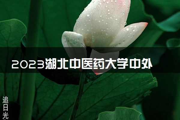 2023湖北中医药大学中外合作办学录取分数线 最低多少分能上