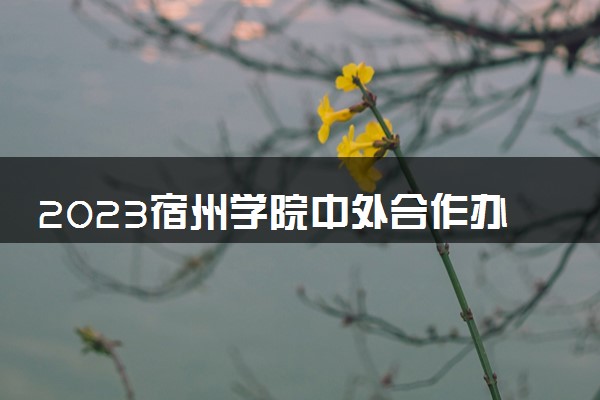 2023宿州学院中外合作办学录取分数线 最低多少分能上