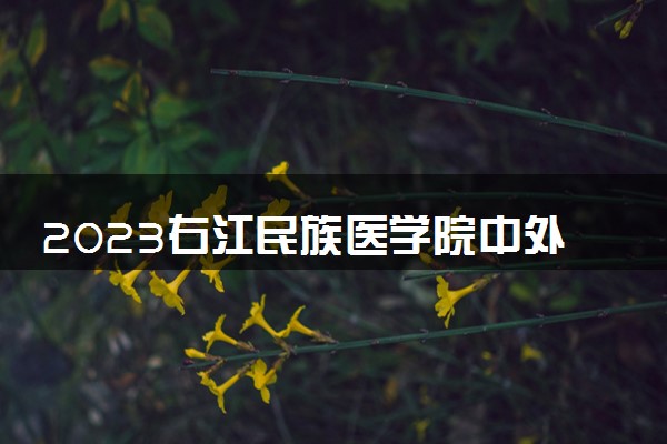 2023右江民族医学院中外合作办学录取分数线 最低多少分能上