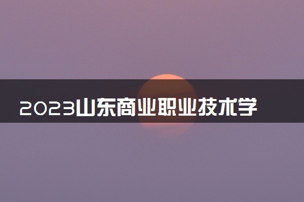 2023山东商业职业技术学院中外合作办学录取分数线 最低多少分能上