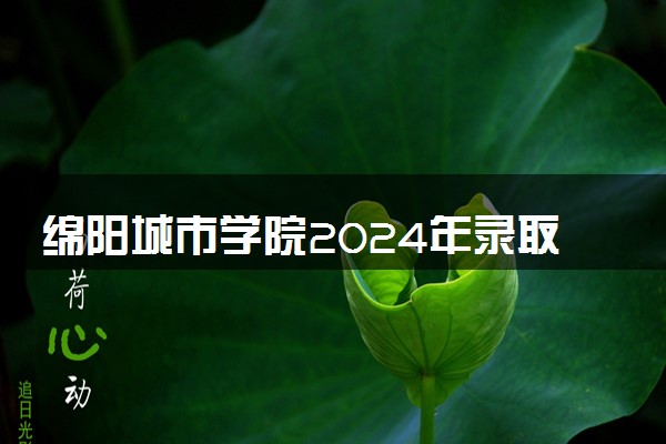 绵阳城市学院2024年录取分数线 各专业录取最低分及位次