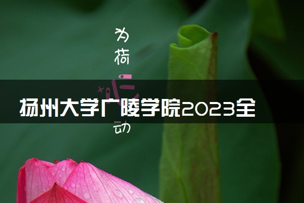 扬州大学广陵学院2023全国各省录取分数线及最低位次 高考多少分能上