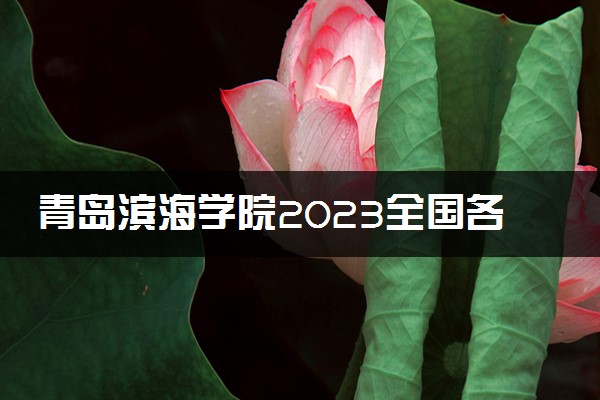 青岛滨海学院2023全国各省录取分数线及最低位次 高考多少分能上