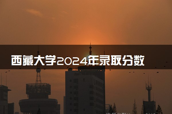 西藏大学2024年录取分数线 各专业录取最低分及位次