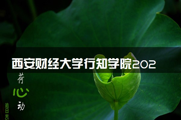 西安财经大学行知学院2024年录取分数线 各专业录取最低分及位次