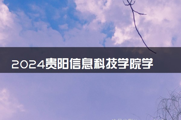 2024贵阳信息科技学院学费多少钱一年 各专业收费标准