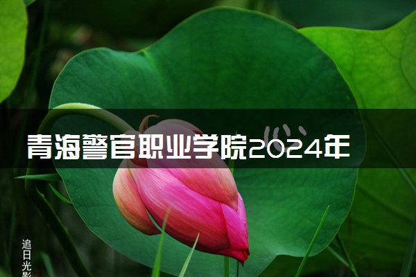 青海警官职业学院2024年录取分数线 各专业录取最低分及位次