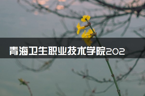 青海卫生职业技术学院2024年录取分数线 各专业录取最低分及位次