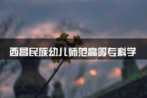 西昌民族幼儿师范高等专科学校2023全国各省录取分数线及最低位次 高考多少分能上