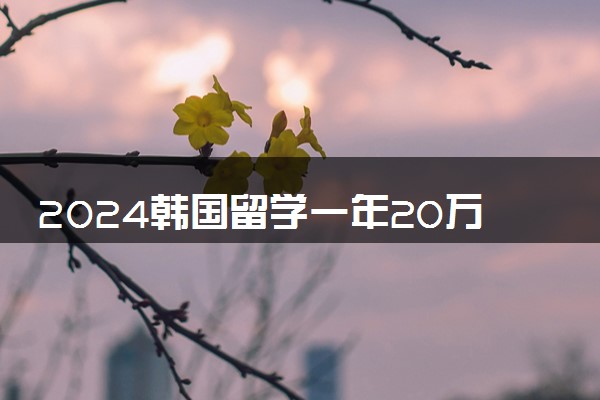 2024韩国留学一年20万够吗 回国不受欢迎是真的吗