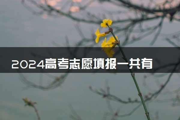 2024高考志愿填报一共有几个批次 该怎么填报