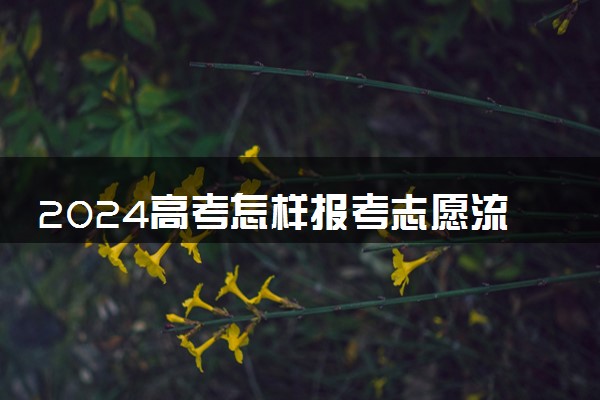 2024高考怎样报考志愿流程 该怎么报考