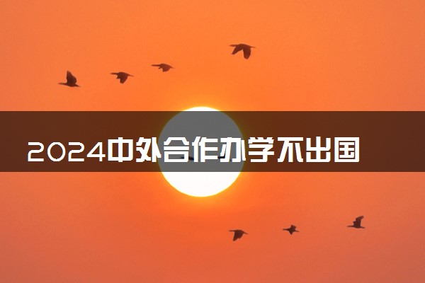 2024中外合作办学不出国可以获得国外大学学位吗