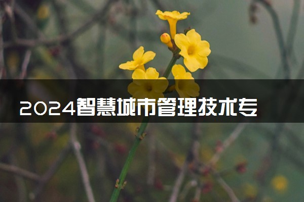 2024智慧城市管理技术专业就业前景及就业方向最新