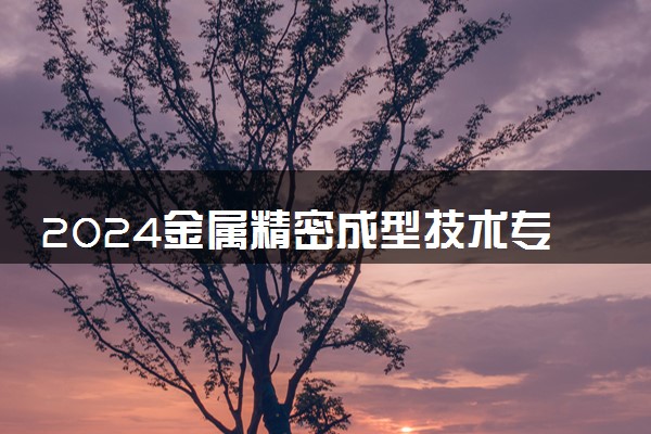 2024金属精密成型技术专业就业前景及就业方向最新