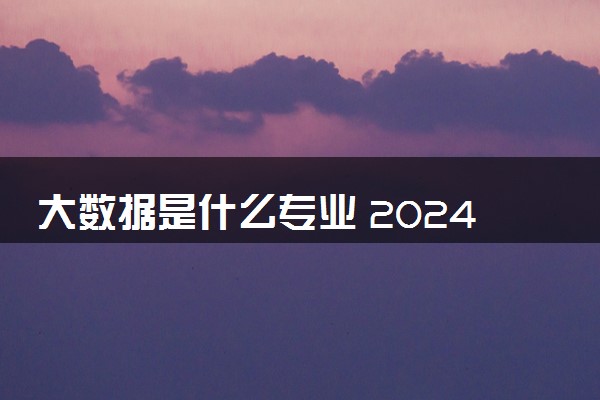 大数据是什么专业 2024就业前景怎么样