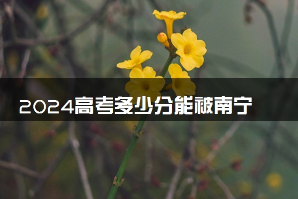 2024高考多少分能被南宁学院录取（附2023各省最低录取分数线及位次）