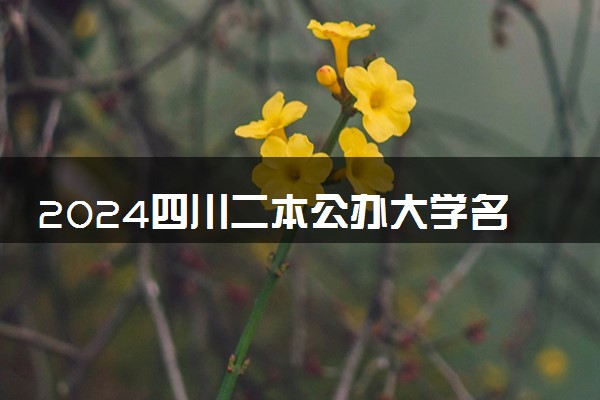 2024四川二本公办大学名单 哪些学校好