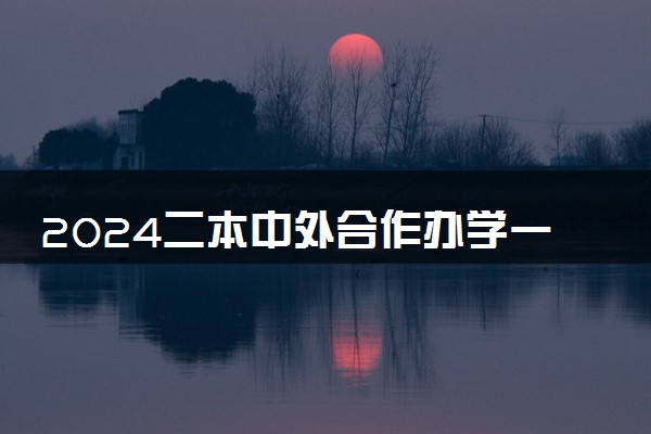 2024二本中外合作办学一览表 所有二本院校名单