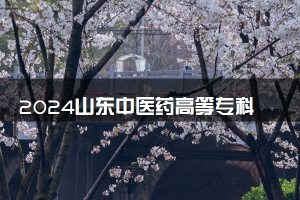 2024山东中医药高等专科学校各专业录取分数线及位次 各省录取最低分是多少