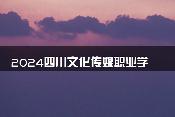 2024四川文化传媒职业学院各专业录取分数线及位次 各省录取最低分是多少