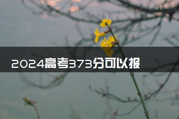 2024高考373分可以报哪些大学 373分左右能上的院校名单